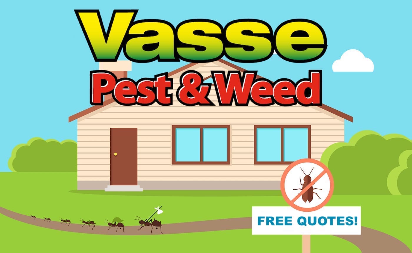 Vasse Pest & Weed Control Warren Pest Control Western, Australia